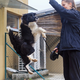 (FOTO) Zavetišče za živali Maribor: Beračev pes čaka na odločitev inšpektorjev