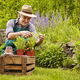 Zakaj je vrtnarjenje odlično tudi za starejše ljudi