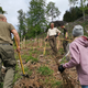 Vseslovenska prostovoljska akcija sadnje dreves Pomladimo gozdove 2024