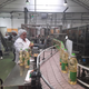 V Slovenski Bistrici že 120 let predelujejo jedilna olja