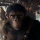 (FILMSKA KRITIKA) Novi film franšize Planet opic je zgolj senca predhodnika