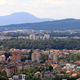 (ODZIV NA VIDEOKOLUMNO) Maribor, mesto spodrezanih korenin? Politiki, zbudite se! Ljudje, Maribor, zbudite se! (2)
