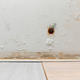 Vprašanje bralca - odgovor strokovnjaka: Kako odpraviti plesen na zidovih?