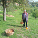 Praznik kozjanskega jabolka: V Podsredi pekli štrudlje, tekli in kolesarili