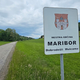 (KAM GREŠ, MARIBOR) Išče se mestotvorni župan ali županja