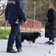 Psi brez povodcev na igriščih, v parkih, na sprehajalnih poteh ... Zdaj je medobčinsko redarstvo napovedalo nadzor!