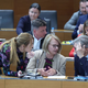 Nemir pri Logarjevih Demokratih: Del članstva nasprotuje vstopu v Janševo vlado
