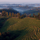 Deželo vina in pogač bolj poznajo tujci kot Slovenci