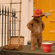 TV namigi: Medvedek Paddington 2, Palm Springs in Ni je več