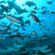 Sporazum za zaščito zakladov morskih globin