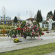 Razširjeno pokopališče na Viču, sledi aleja Žale