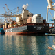 Odpovedi ladijskih prihodov napovedujejo nove težave in podražitve