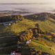 Odpravite se na potep med vinograde in spoznajte čar vinorodne Štajerske