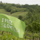 Slovenija brez pokrajin: smo zaradi odlašanja res dlje od Švice