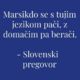 Iskrica