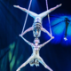 Cirque du Soleil prihaja k nam z 21 tovornjaki in še enkrat toliko akrobati