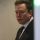 Musk ogorčen, ker bo najlepšo žensko na svetu igrala temnopolta igralka