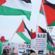 Svobodna Palestina: Ko bi le bil sveča v temi
