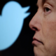 Je twitter res le orožje populistične desnice
