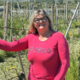 Gostje ne želijo več le degustacije, ampak zgodbo vinograda