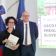 Želje in realnost priporočil OECD