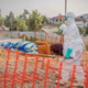 V Franciji potrdili prvi primer okužbe z ebolo zunaj Afrike