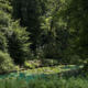 Arboretum Volčji Potok
