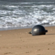 Na plaži našli »vesoljske krogle«, ki lahko vsebujejo nevarne kemikalije