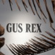 T-rex Gus naj bi prekosil Apexa? Fosili namesto v muzej k bogatašem (FOTO)