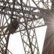 Film tedna je zgodovinska biografska drama in romanca Eiffel – sreda ob 20.05 na TV SLO 1