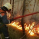 Velika požarna ogroženost za vso Slovenijo, ponekod ogroženost zelo velika
