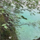 Kranjska naravna kopališča vabijo: kje je voda ustrezna za kopanje