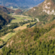 Suša in poletna vročina slabšata prihodnost slovenskih gozdov