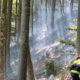 Na Bovškem na terenu še 100 gasilcev, težava so podtalna žarišča