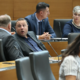 Vujanović: s posvetovalnimi referendumi želijo zamegliti pomen zakonodajnega