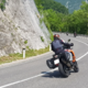 V trčenju s srno jo je hudo skupil motorist