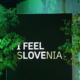 V 24 urah nenavaden porast registracij domen.si, kaj je v ozadju?