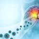 Iskanje trajnega zdravila za hepatitis B