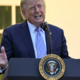 Trumpu in njegovim denar, Bosni in Hercegovini kaos