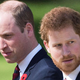 William in Harry: Tako živi njuna polsestra
