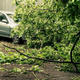 HUDE POSLEDICE NEURJA PRI NAS: Drevesa padala na avtomobile, odkrivalo tudi začasno prekrite strehe (FOTO)