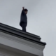 Nekdo je na strehi parlamenta, šlo naj bi za poslanca SDS