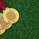 Prva zveza, ki vrača SP v olimpijskem športu v Rusijo, je ...