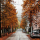 Znano, kakšno vreme nas čaka v začetku novembra