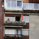 "To je, kot bi otrok padel na beton iz višine 10 metrov"