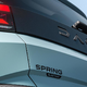 Dacia spring iz Novega mesta: znane prve podrobnosti