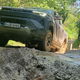 Toyota presenetila z električnim hiluxom, toda to še ni vse