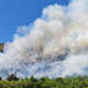 Izbruhnil nov požar, prispelo več gasilskih enot