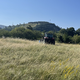 Zakaj so danes krtačili travnik in kako to izgleda