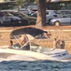 Neverjetno, kaj si je privoščil voznik čolna pri Portorožu
